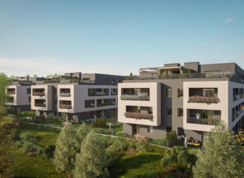 Nowa Namiarkowa Będzin Apushouse Biuro Nieruchomości