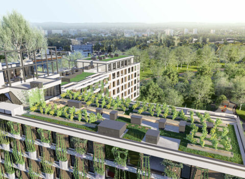 Semiramis Katowice Biuro nieruchomości Apushouse