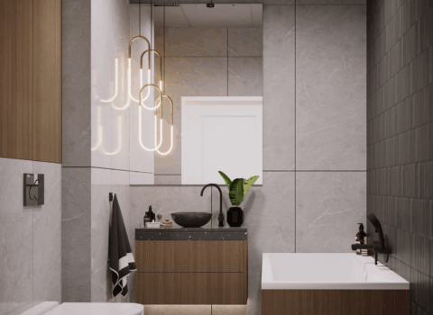 Tarasy Śląskie   LV Dewelopment   Apushouse