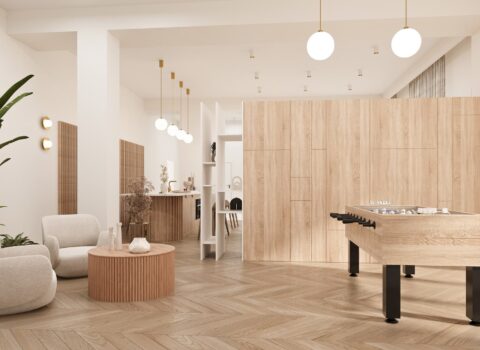 Belg Apartments Apushouse Biuro Nieruchomości Rynek Pierwotny Sprzedaż mieszkań Katowice